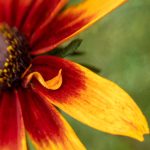 12bet信誉分析:玩家在选择时需注意的要素 42t9g