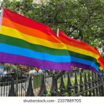 365足球娱乐:畅享全球足球赛事的最佳平台 6o1nogmrx2