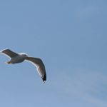 2028体育官网首页上线在即,带你了解最新的体育资讯与活动 8v1igo2h