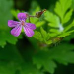 365体育平台的热门体育项目及投注技巧分享 ceup9d