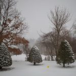 365bet香港:新手玩家必知的投注技巧与策略 h9k6gwgp5