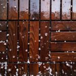 365体育:全方位解析全球体育赛事的最新动态 k65c5y3s