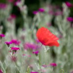 188金宝博娱乐的游戏种类及其独特魅力分析 k8r7obu