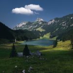 1wincasino的游戏种类:从老虎机到桌面游戏的全面介绍 s7v6q8l39