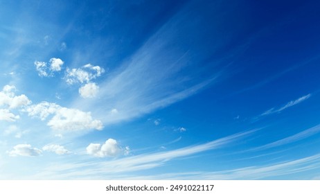 1369皇家开奖结果最新官方公布查询