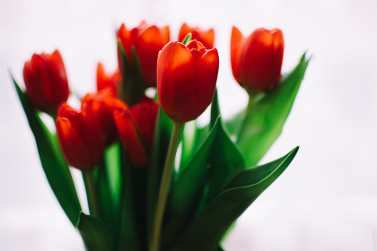 13直播在线观看高清流畅不卡顿