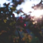 139开奖直播现场最新结果实时更新 7oi9o6a0b