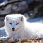 13133期大乐透开奖结果震撼揭晓,大奖花落谁家? 84lfu