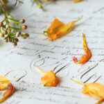 138期双色球开奖结果揭晓:幸运号码震撼出炉 9i1ni