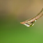 32555开奖直播现场全程高清实况在线观看 i4aymzr