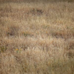 3224开奖首页最新开奖信息查询与结果公布 lo6q508n