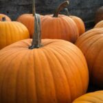 13061期足彩开奖结果最新公布,奖金成色与中奖详情速览 oz7d3k8hj