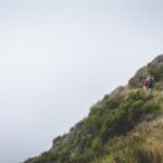 333历史开奖号完整开奖数据统计与回顾 p51kual7t