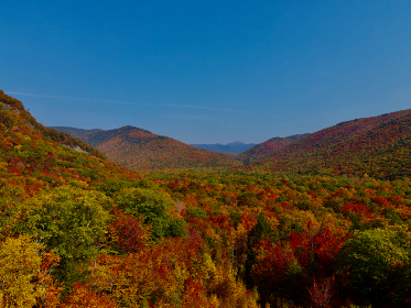 131期开奖结果查询最新官方公布信息