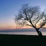 323000期最新开奖结果查询与详细数据分析 rve1x