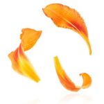 13155期最新开奖结果查询与中奖号码公布 sn5ixslw